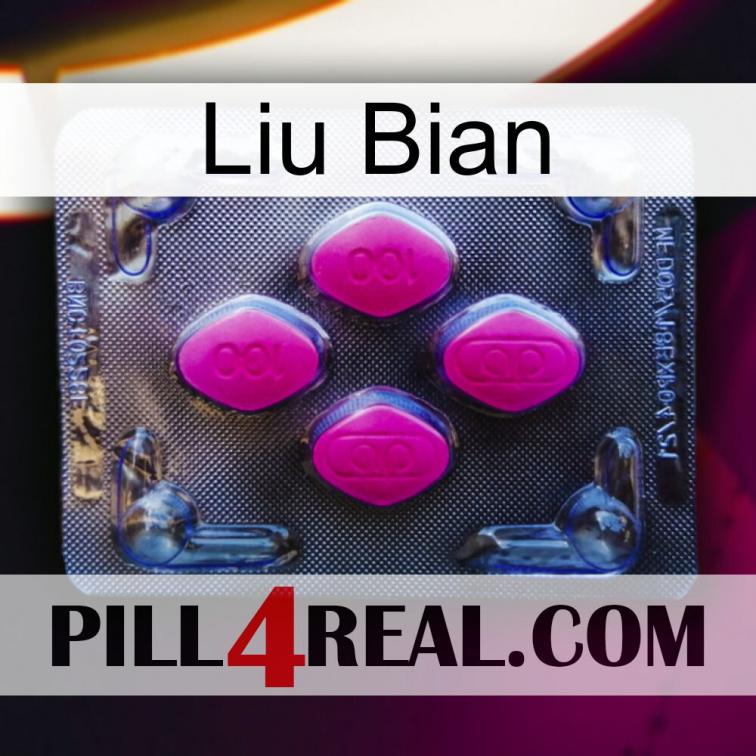 Liu Bian 02